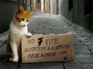 TALENTO